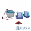 國(guó)產(chǎn)DYCZ-25E型(新)P4蛋白垂直電泳儀