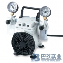 美國(guó)威爾奇2546C-02干式WOB-L活塞泵