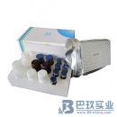 環(huán)丙沙星Elisa試劑盒