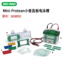美國(guó)伯樂(lè)Bio-Rad Mini-Protean小垂直板電泳槽1658001