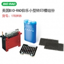美國(guó)伯樂(lè)Bio-rad Mini Trans-Blot Module美國(guó)電泳轉(zhuǎn)印芯模塊1703935