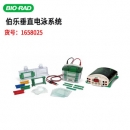 伯樂1658025 垂直電泳系統(tǒng)