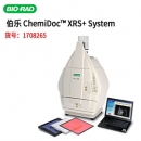 美國BIO-RAD伯樂ChemiDoc? XRS+ 化學(xué)發(fā)光、熒光和比色成像系統(tǒng) 1708265