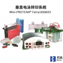 美國伯樂Bio-Rad小型垂直電泳轉(zhuǎn)印系統(tǒng)（電泳槽+轉(zhuǎn)印芯+基礎(chǔ)電源）1658033